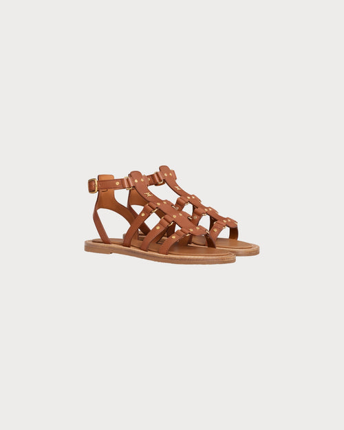 CELINE Lympia Gladiator Sandal | 赛琳 凉鞋 (啡色)