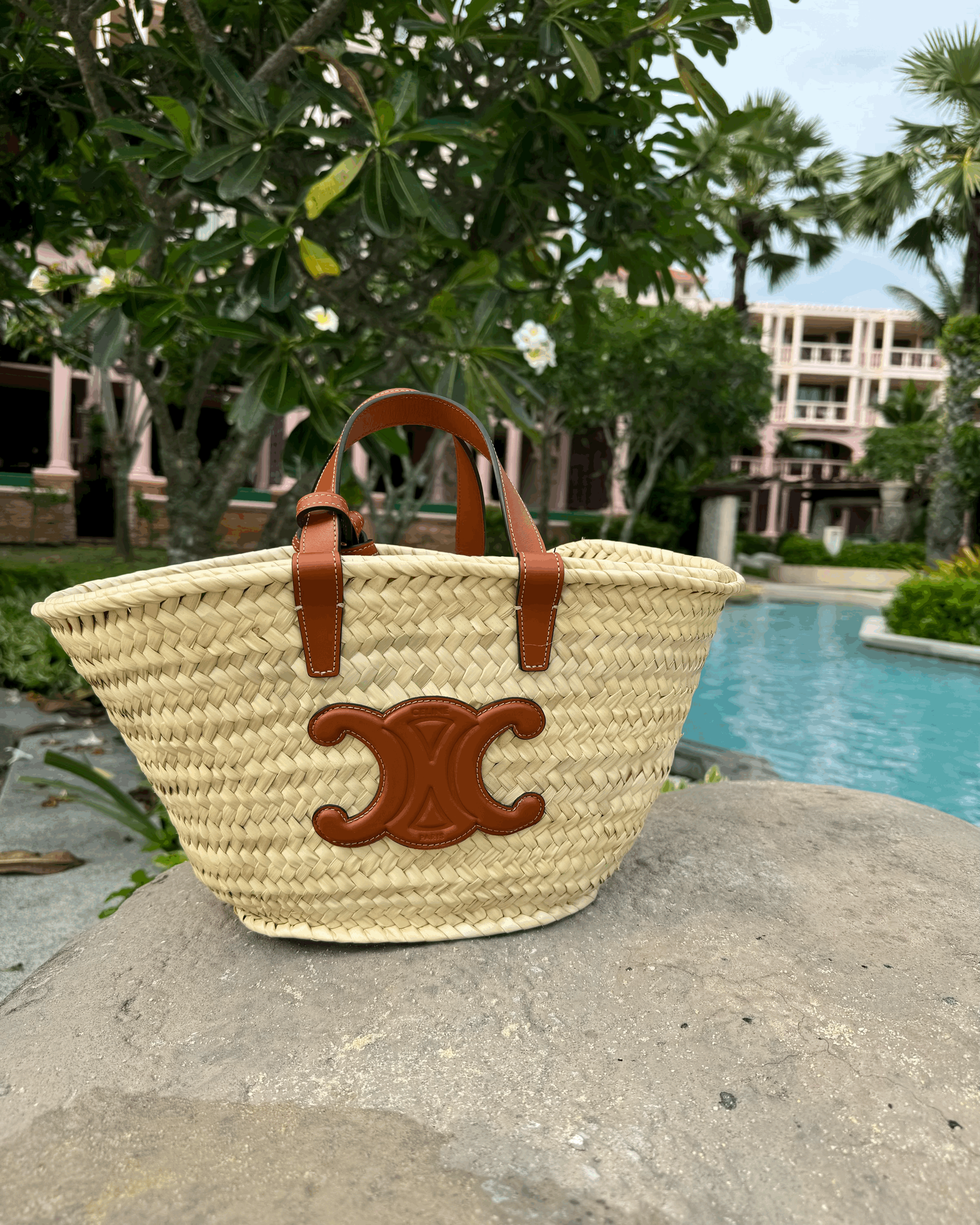 CELINE Triomphe Classic Panier Triomphe Canvas(Teen/Tan