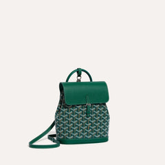 GOYARD Alpin Mini Backpack | Goya backpack (multicolor)