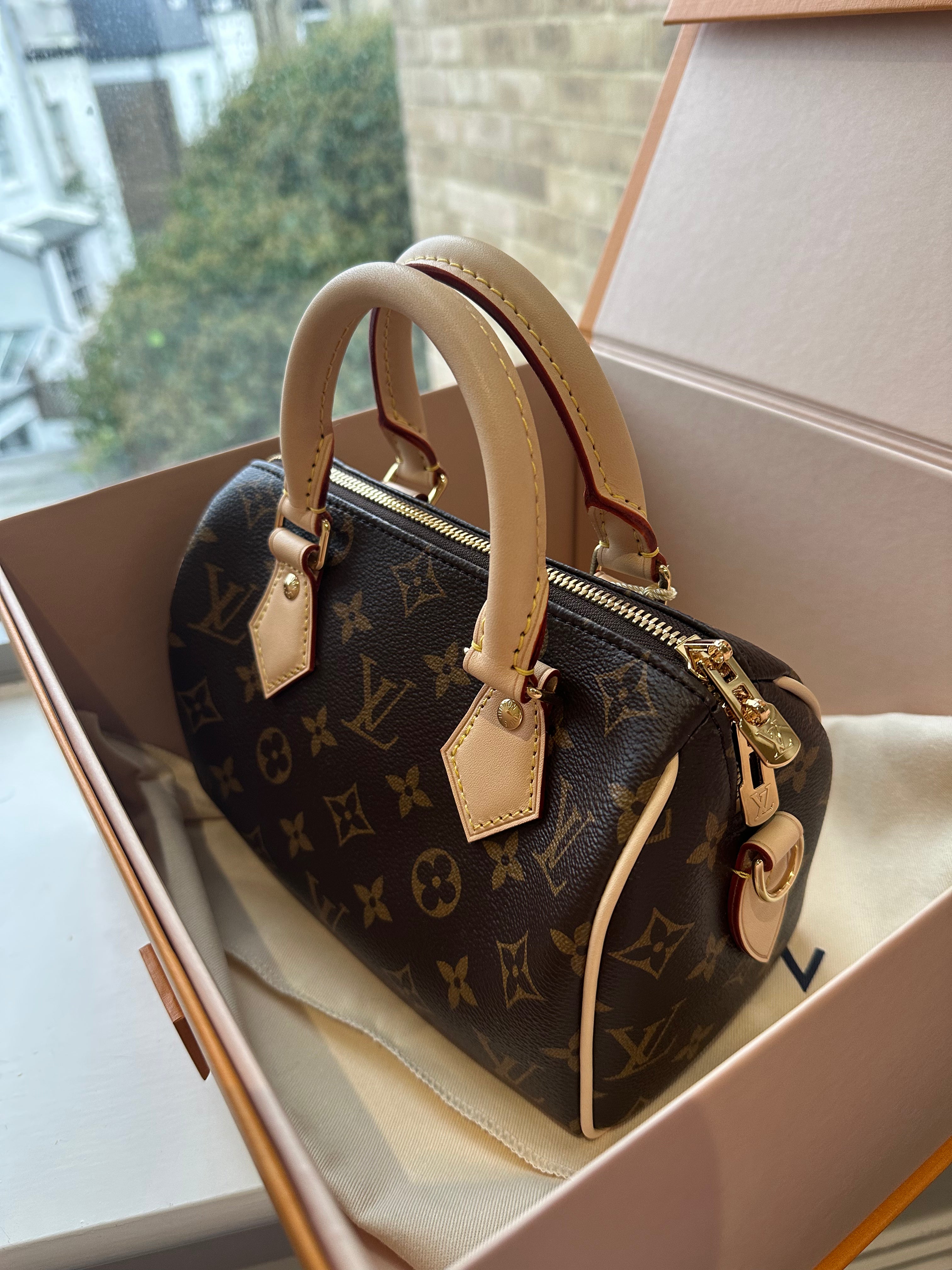 LOUIS VUITTON M46222 Speedy 20 Bag | Louis Vuitton Handbags