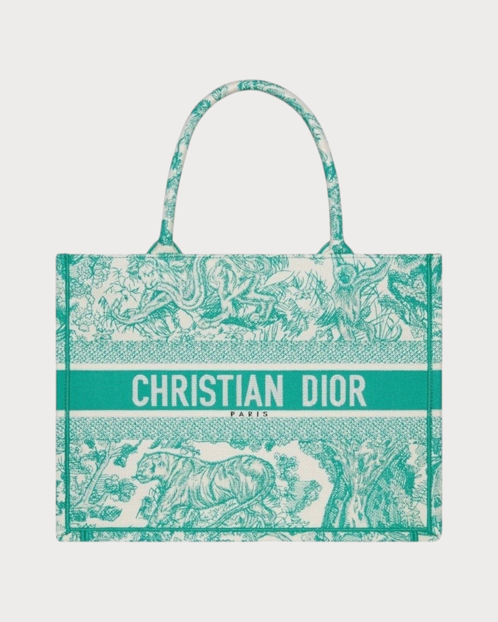 christian-dior-dior-book-tote-