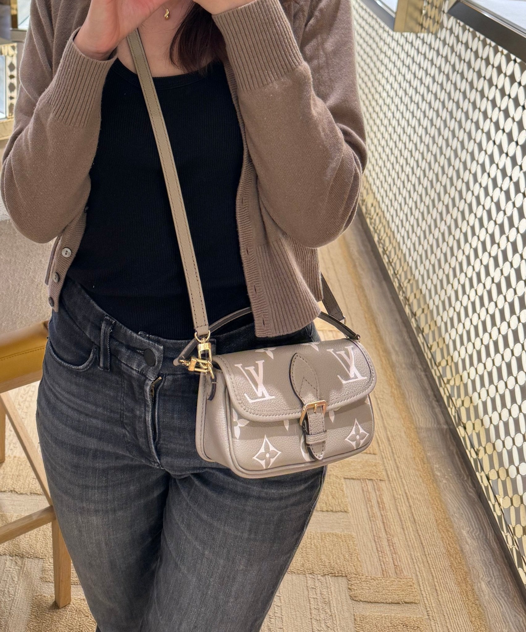 LOUIS VUITTON M83300 Diane Monogram Canvas(Nano/Grey 