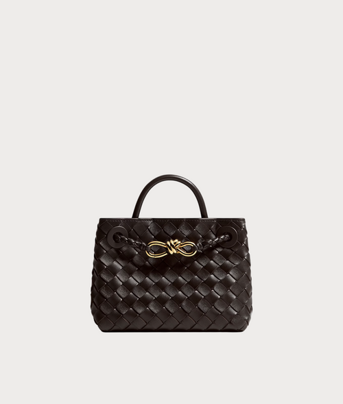 BOTTEGA VENETA Andiamo(Mini/4 Colors)