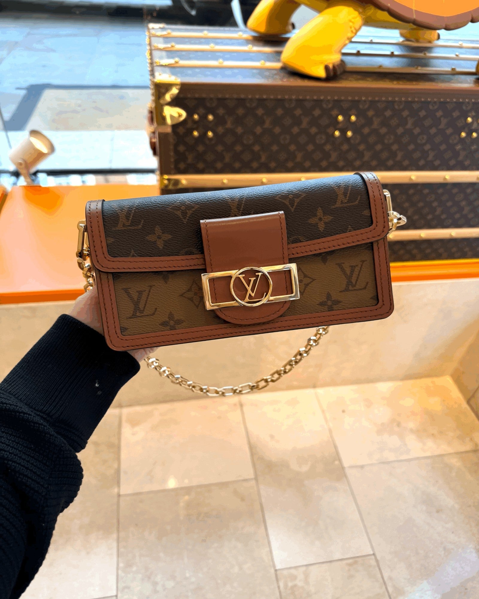 LOUIS VUITTON M46757 Dauphine East West Bag Monogram Reverse